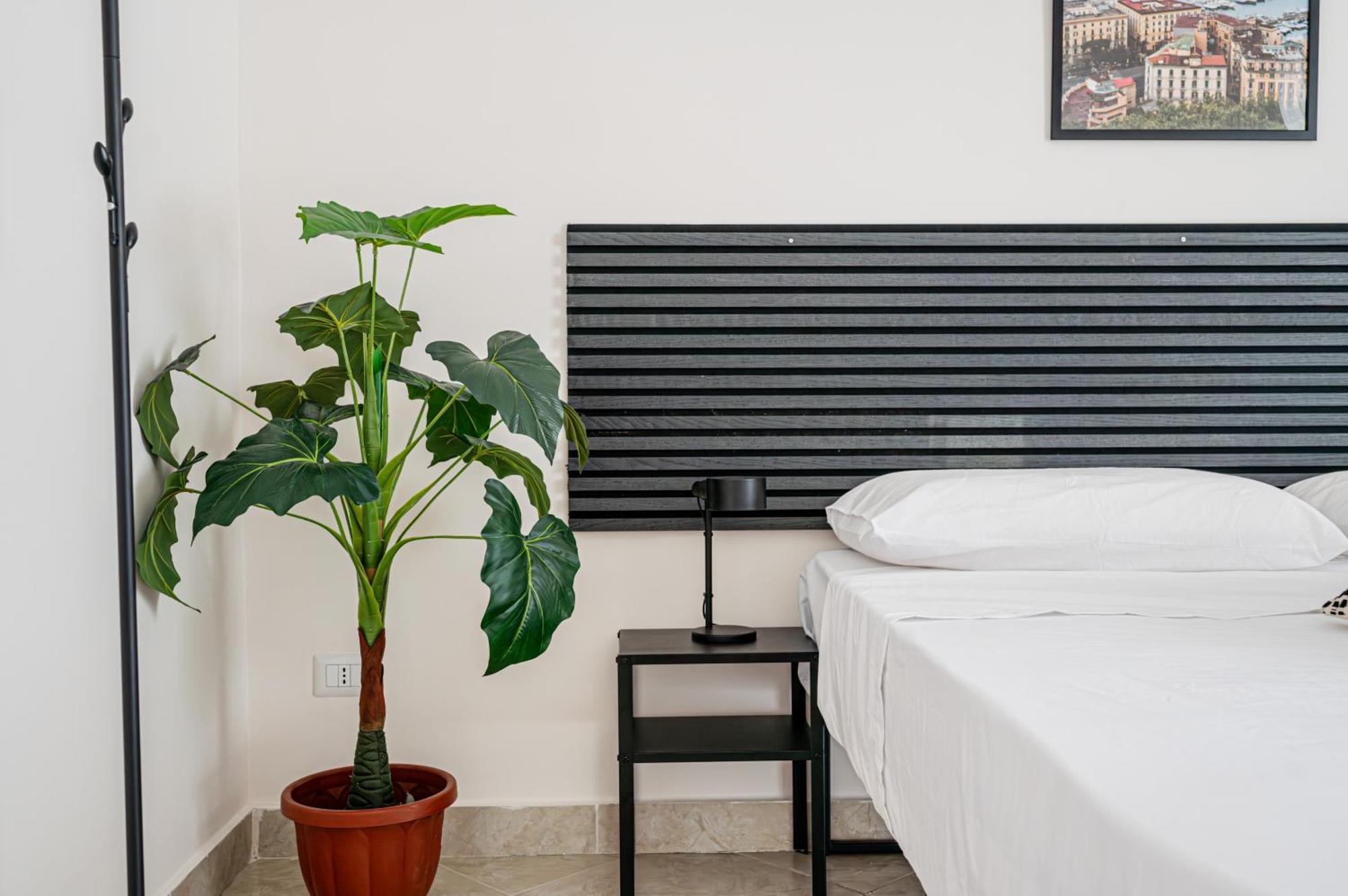 Cozy Core Appartamento *